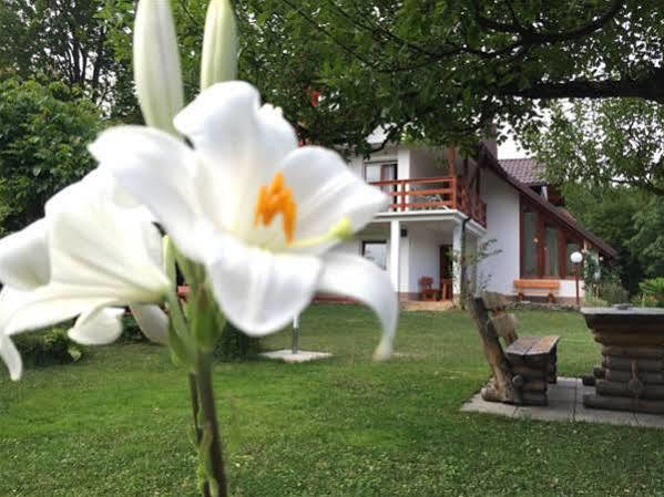 Hotel House Samardzic Jezerce Exterior foto